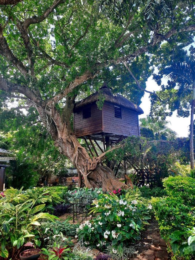 Tree Lodge Mauritius ベル・マール エクステリア 写真