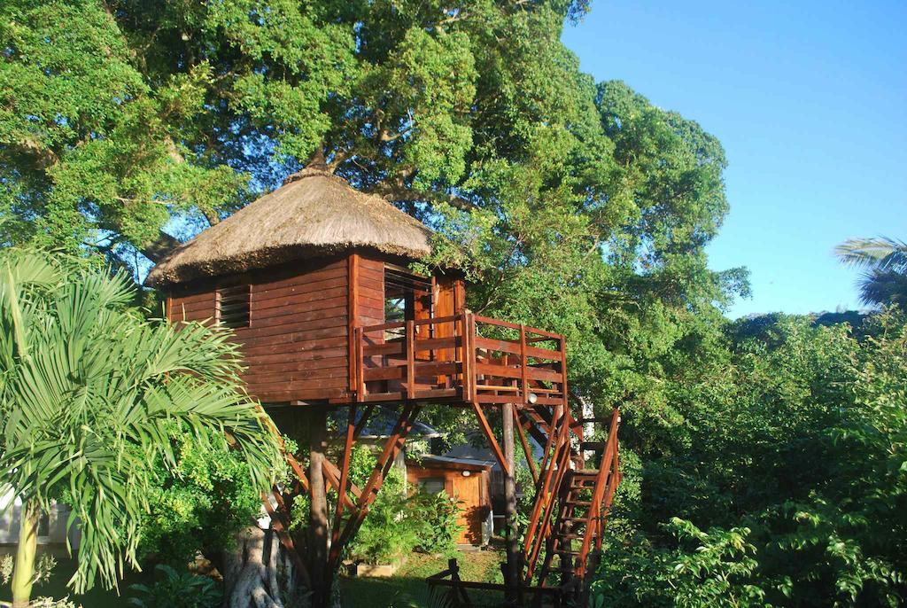 Tree Lodge Mauritius ベル・マール 部屋 写真